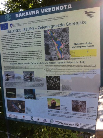 Jezero je dom za številke živalske in rastlinke vrste.