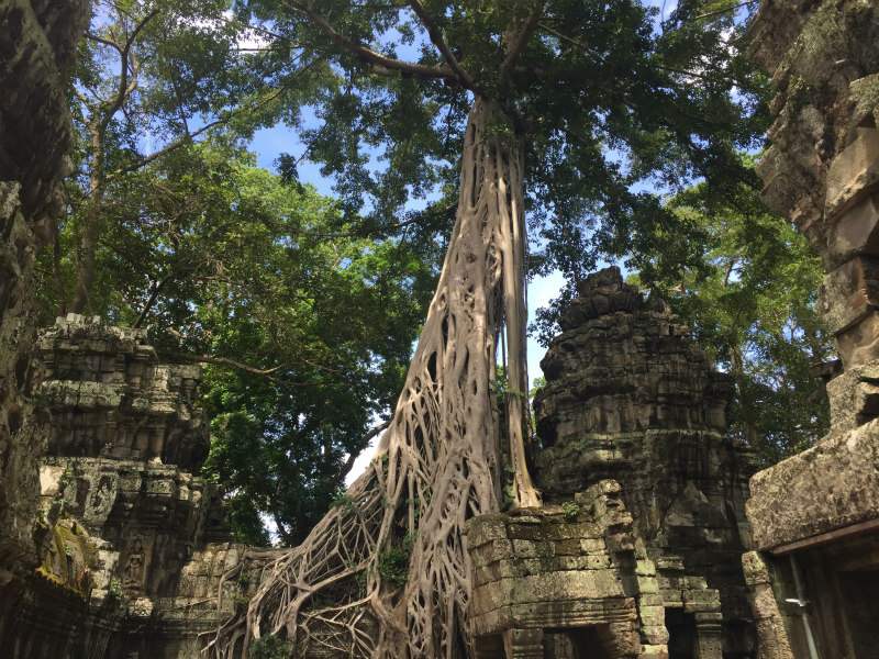ni-nakljucje-da-so-ta-tempelj-izbrali-za-lokacijo-snemanja-filma-tomb-raider
