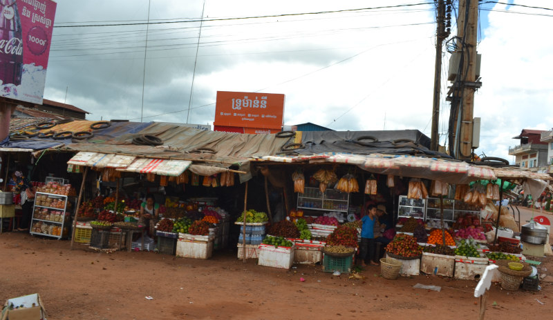voznja-skozi-ruralno-okolje-je-bila-pravo-dozivetje